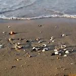 One Bedroom Flat With Terrace And Sea View * Bibione