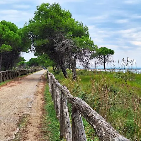 One Bedroom Flat With Terrace And Sea View Apartment Bibione