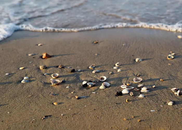 One Bedroom Flat With Terrace And Sea View * 비비오네