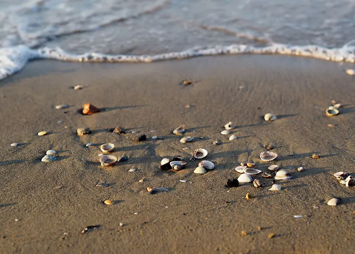 One Bedroom Flat With Terrace And Sea View * Bibione